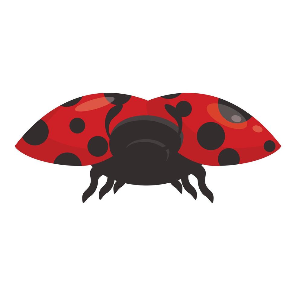 vector de dibujos animados de icono de mariquita. insecto mariquita