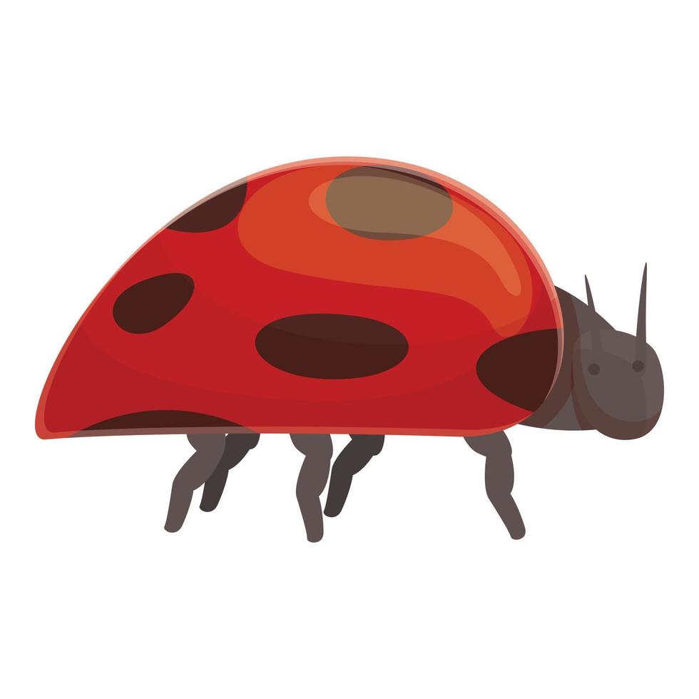 Lady beetle icon cartoon vector. Ladybug spring vector