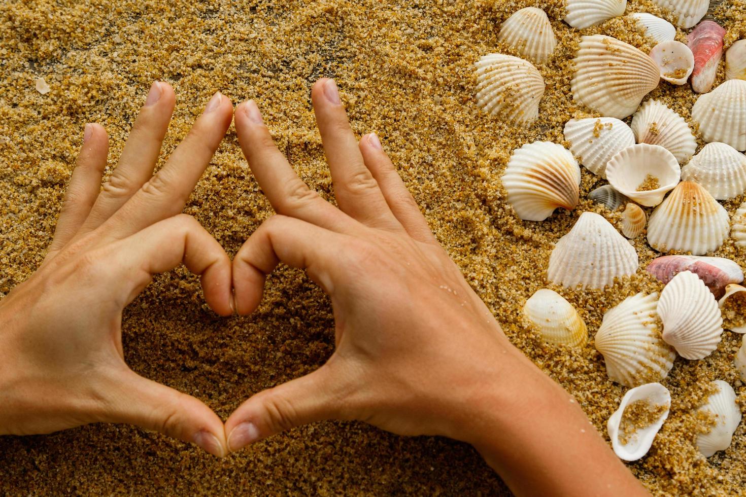 Female hands made heart symbol and seashells photo