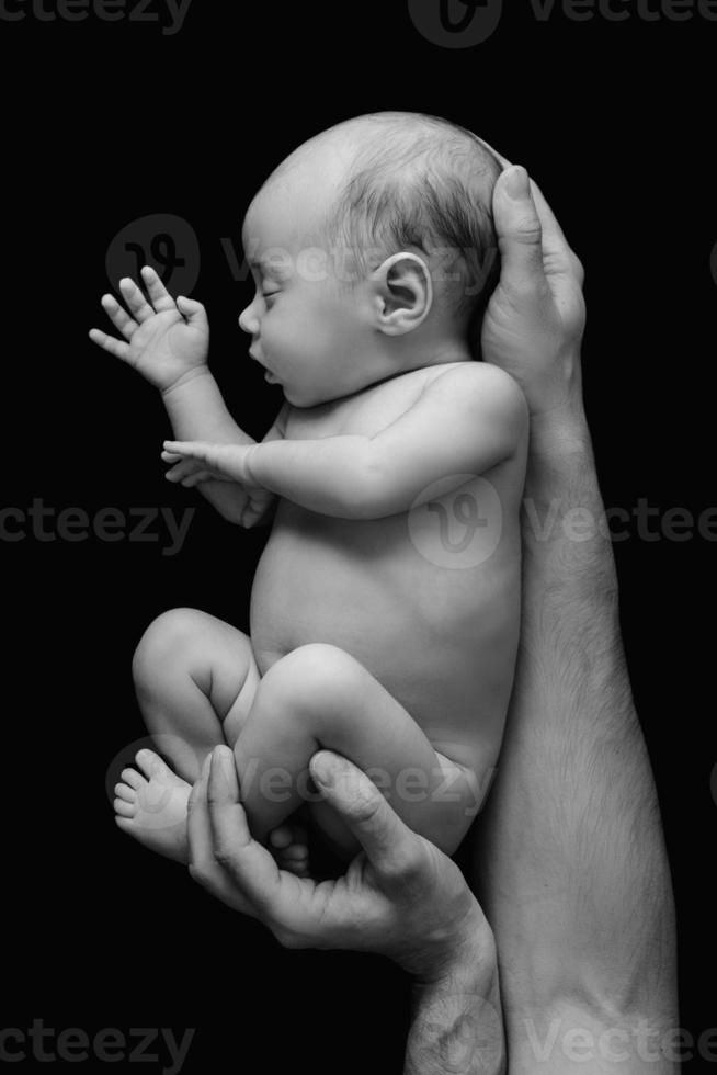 Cute newborn baby in the father's hands photo