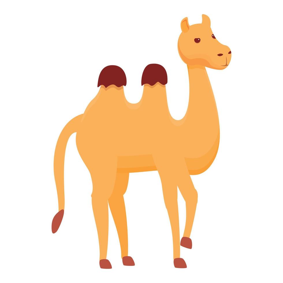 Africa camel icon, cartoon style vector