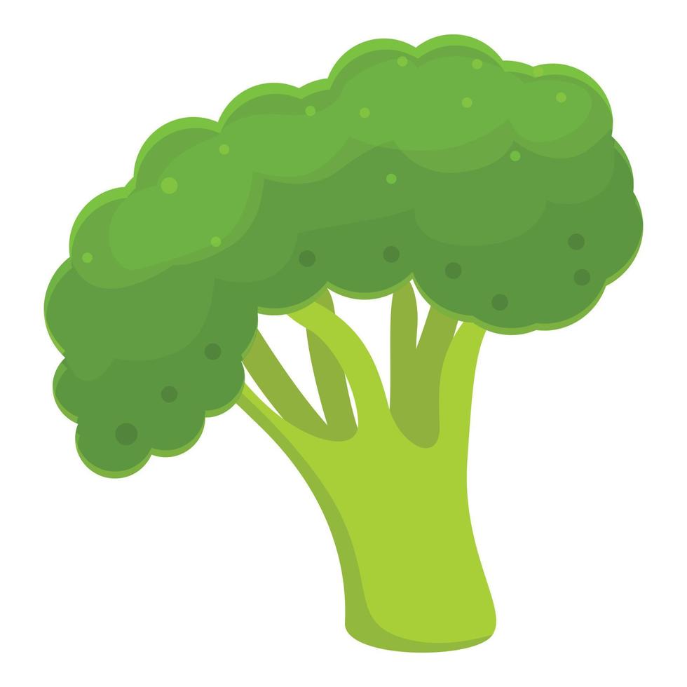 Healthy broccoli icon, cartoon style vector