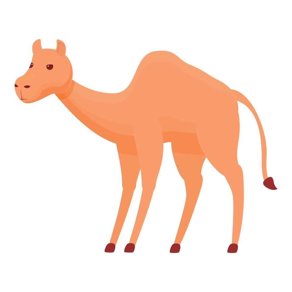 Hump camel icon, cartoon style vector