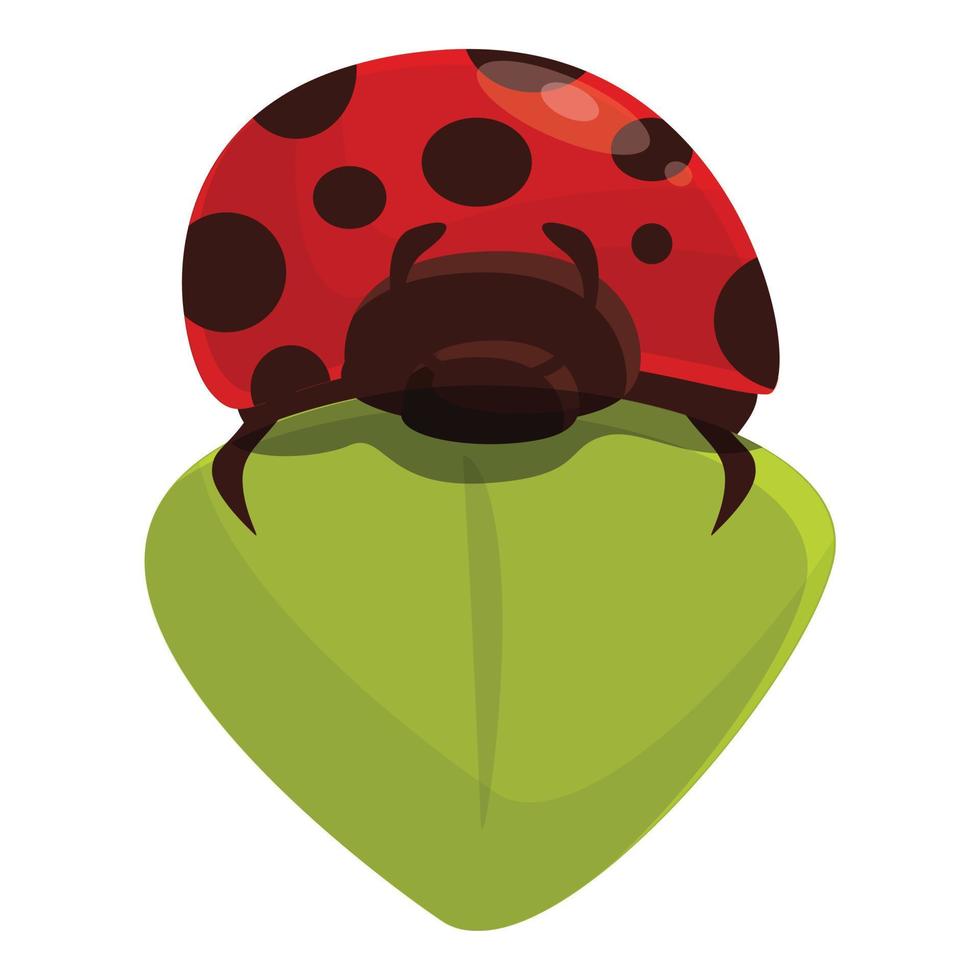 Leaf ladybird icon cartoon vector. Ladybug spring vector