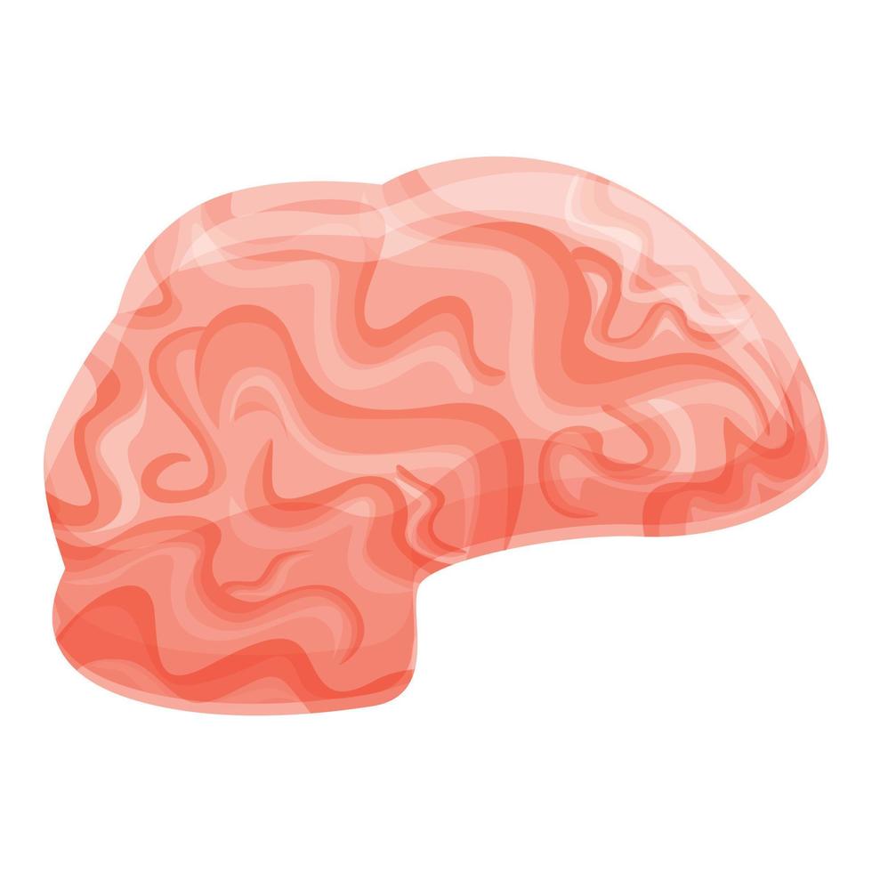 Human brain biology icon, cartoon style vector