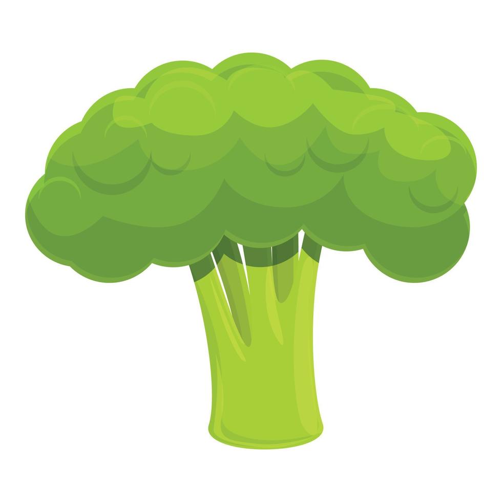 Natural broccoli icon, cartoon style vector