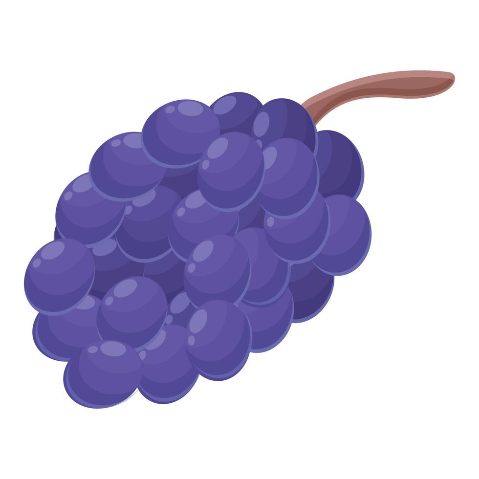 vector de dibujos animados de icono de uvas de armenia. viajes medievales