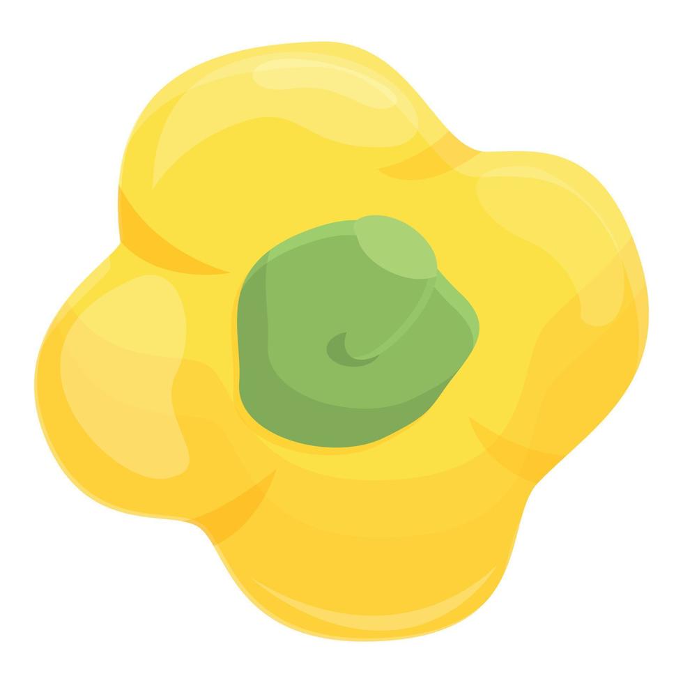 Top view paprica icon, cartoon style vector