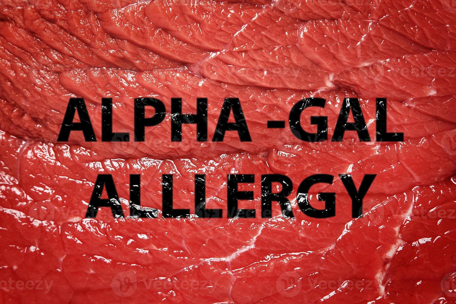 trozo de carne roja y letras de alergia alfa-gal foto