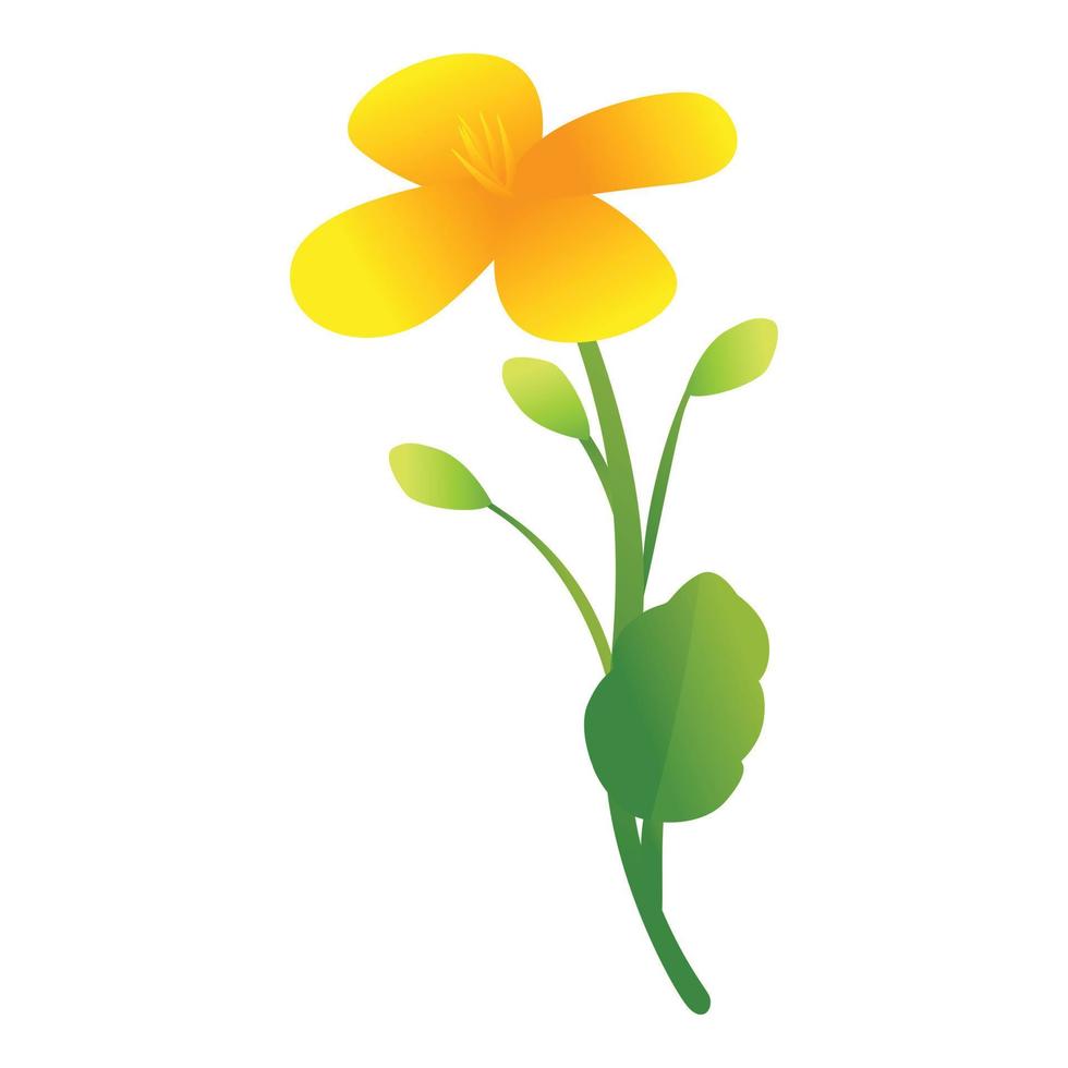 Celandine botanical flower icon, cartoon style vector