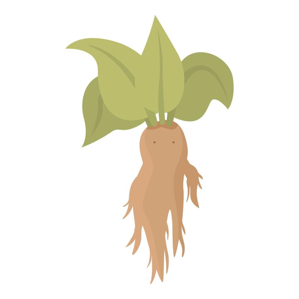 Nature mandrake icon cartoon vector. Green plant vector