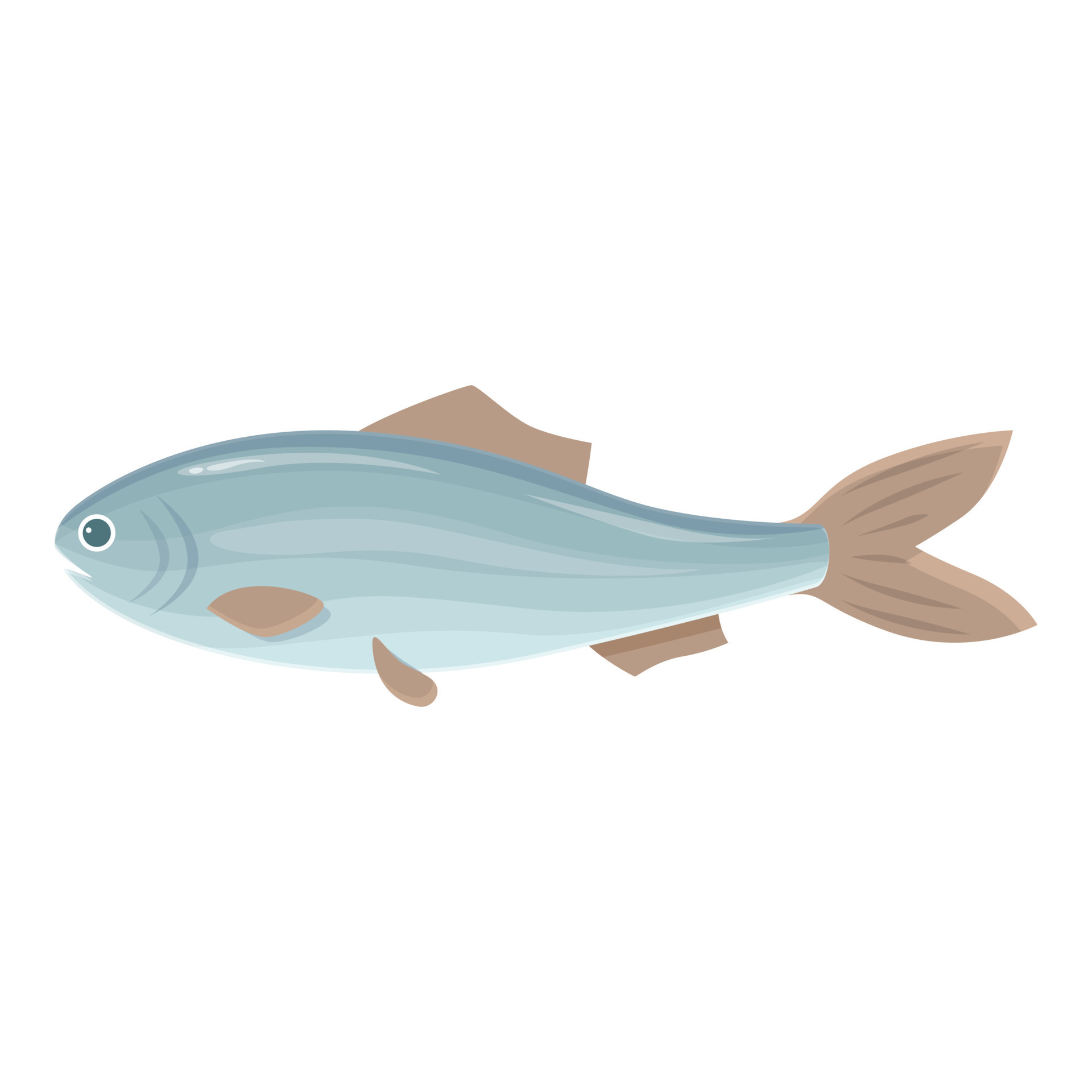 Tuna fish icon cartoon vector. Sea herring 14348775 Vector Art at Vecteezy