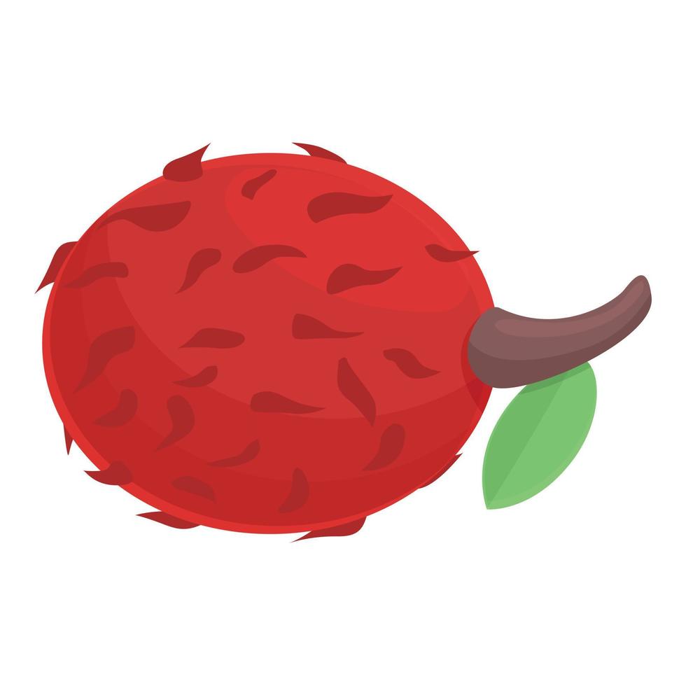 pequeño vector de dibujos animados de icono de rambután. rambután tropical