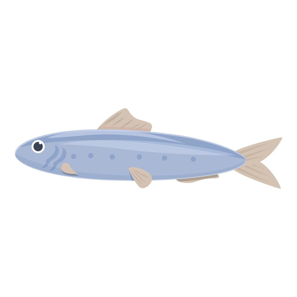 vector de dibujos animados de icono de sardina. pescados y mariscos