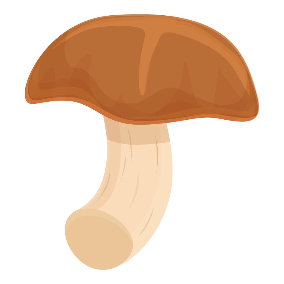 Forest shitake icon cartoon vector. Chinese mushroom vector