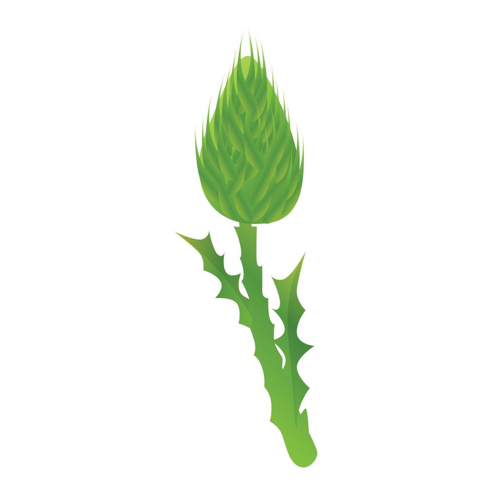 cardo, escocia, planta, icono, caricatura, estilo vector