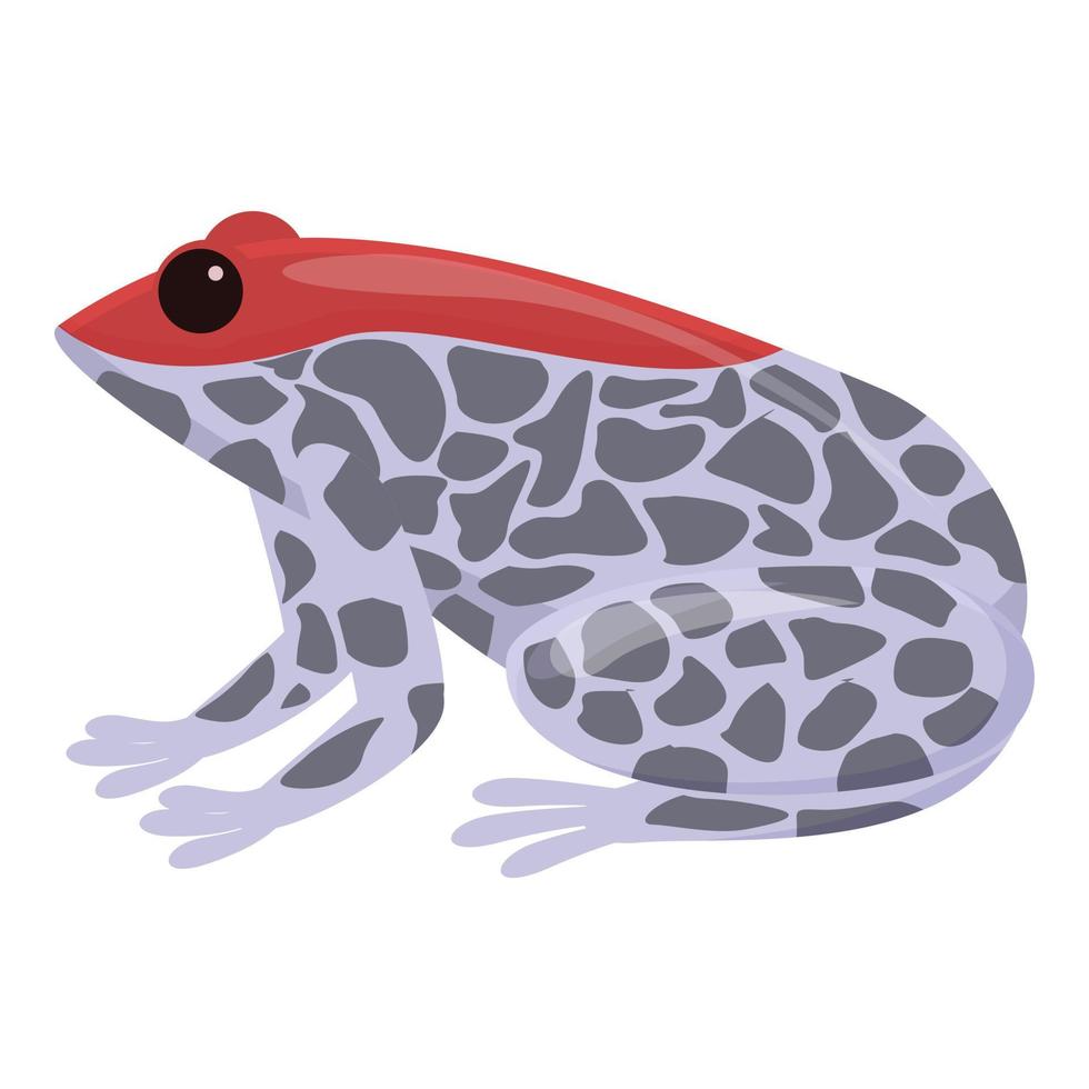 vector de dibujos animados de icono de rana de piedra. lindo sapo