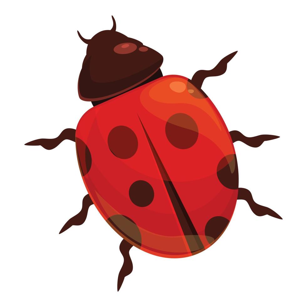 vector de dibujos animados de icono de mariquita salvaje. insecto mariquita