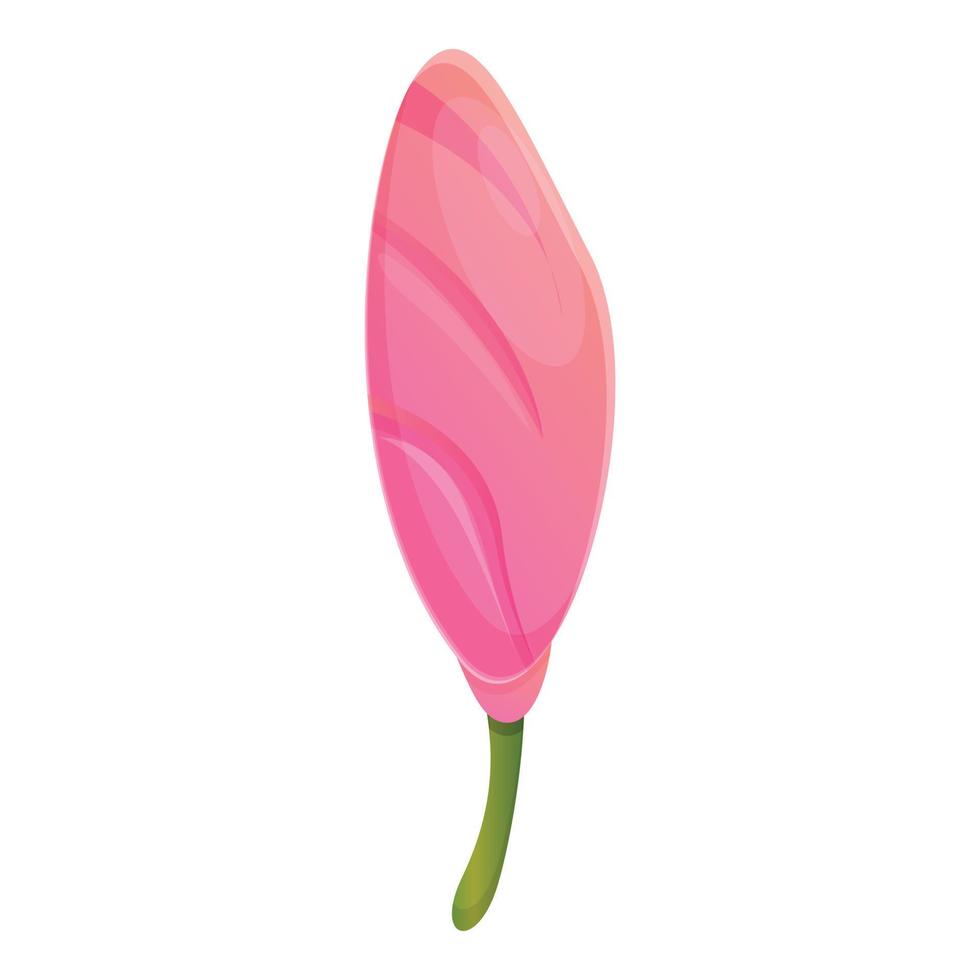 Plumeria rubra icon, cartoon style vector