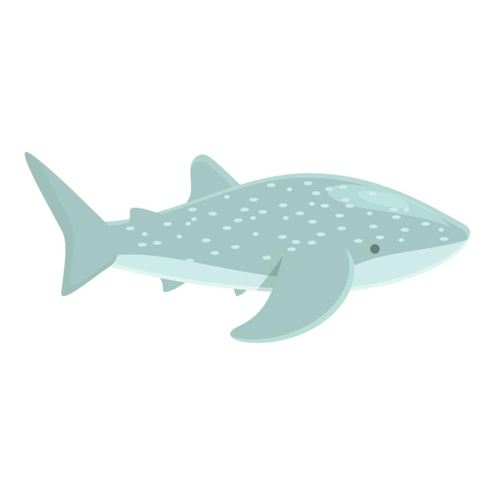 vector de dibujos animados de icono de tiburón ballena de acuario. pescado de mar