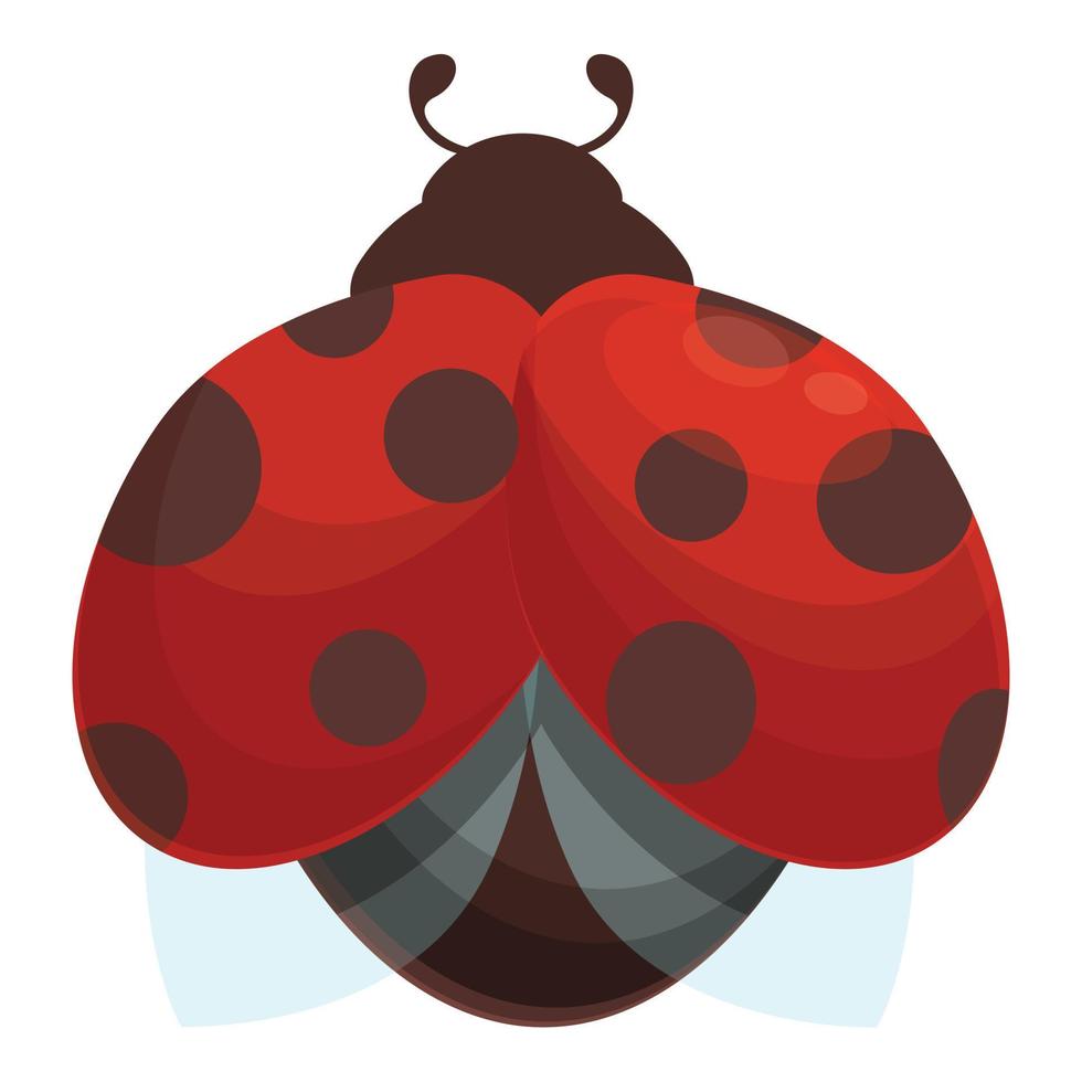 Wing ladybird icon cartoon vector. Ladubug beetle vector