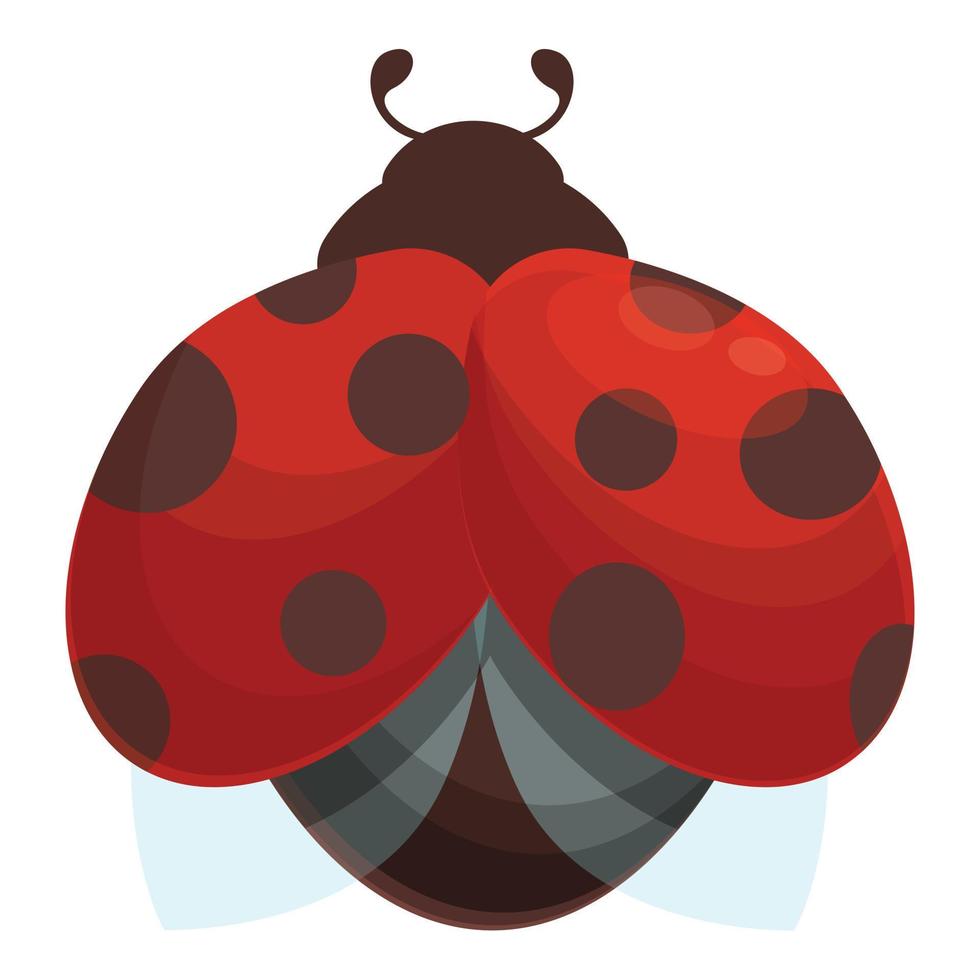 vector de dibujos animados de icono de mariquita de ala. escarabajo ladubug