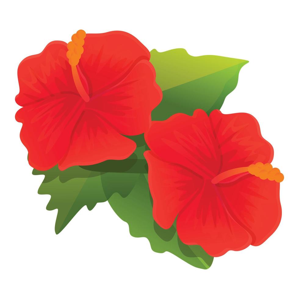 Bloom hibiscus icon, cartoon style vector