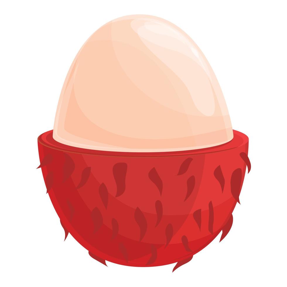 Fresh rambutan icon cartoon vector. Tropical fruit vector