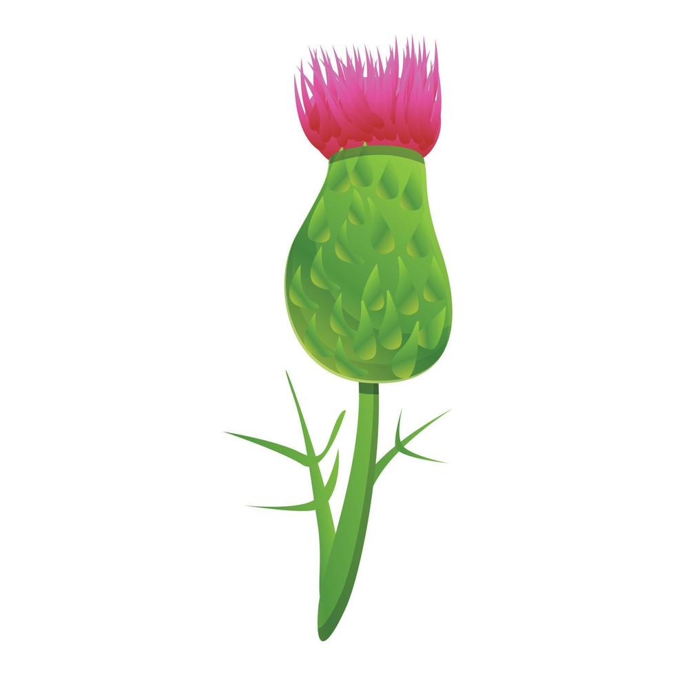 Thistle blossom flower icon, cartoon style vector