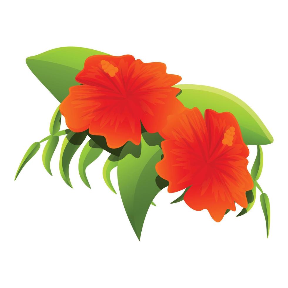 Garden hibiscus icon, cartoon style vector