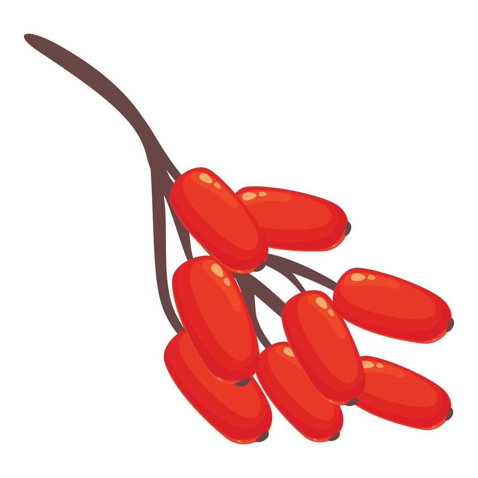 vector de dibujos animados de icono de agracejo de árbol. fruta goji