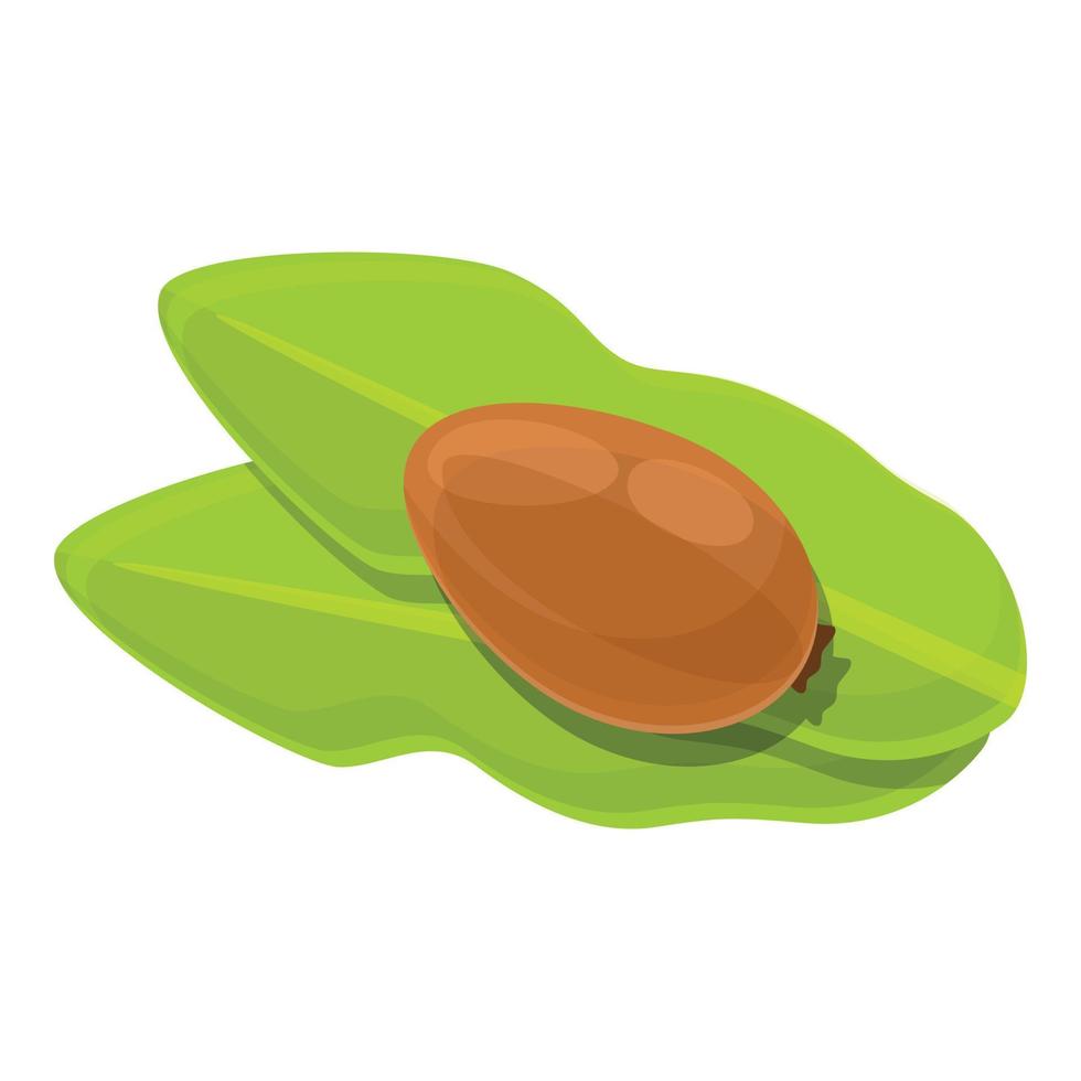 en la hoja de árbol de karité icono de nuez verde, estilo de dibujos animados vector