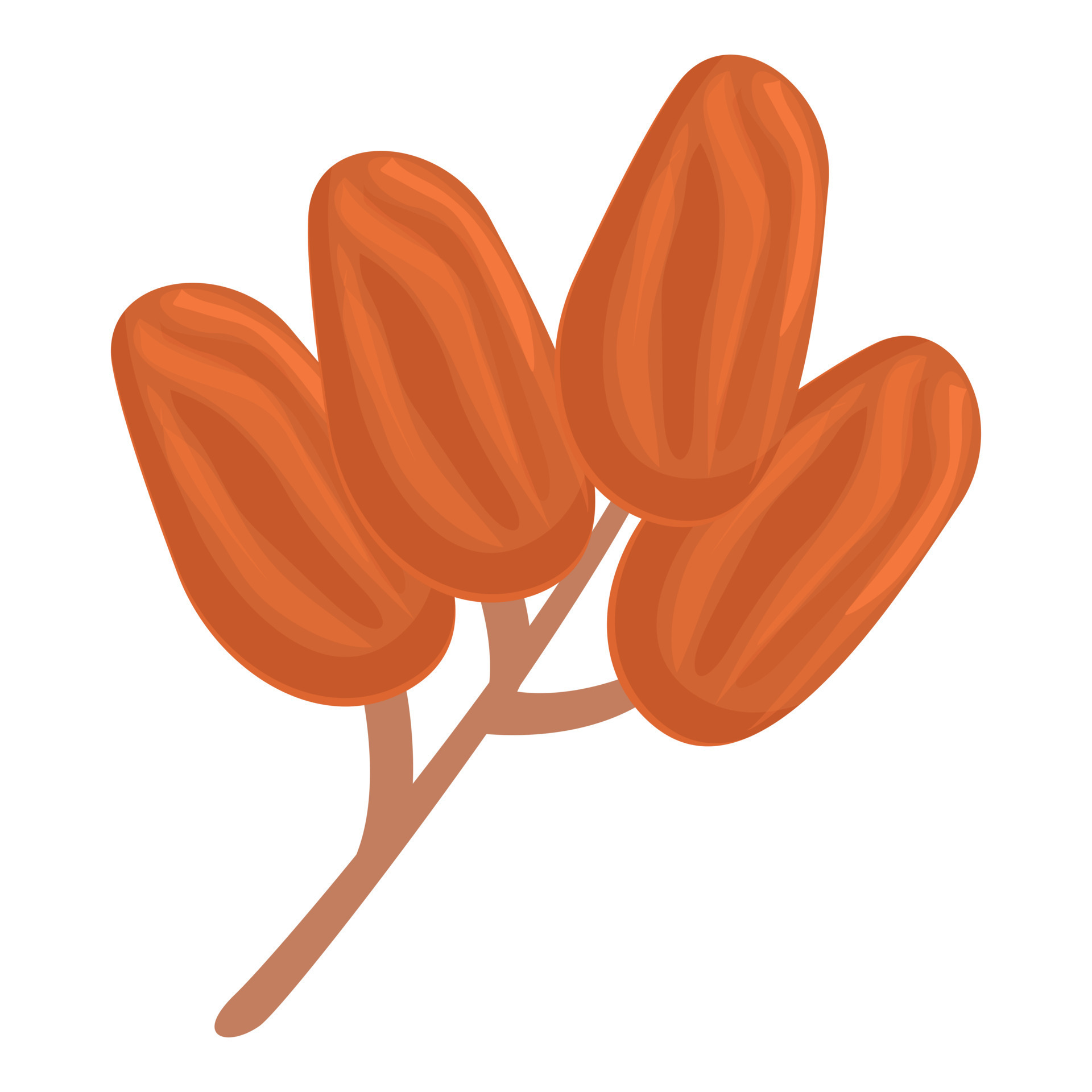 Date fruit icon cartoon vector. Palm food 14350957 Vector Art at Vecteezy