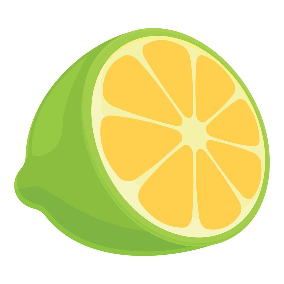 Mexican lime icon cartoon vector. Tequila lemon vector
