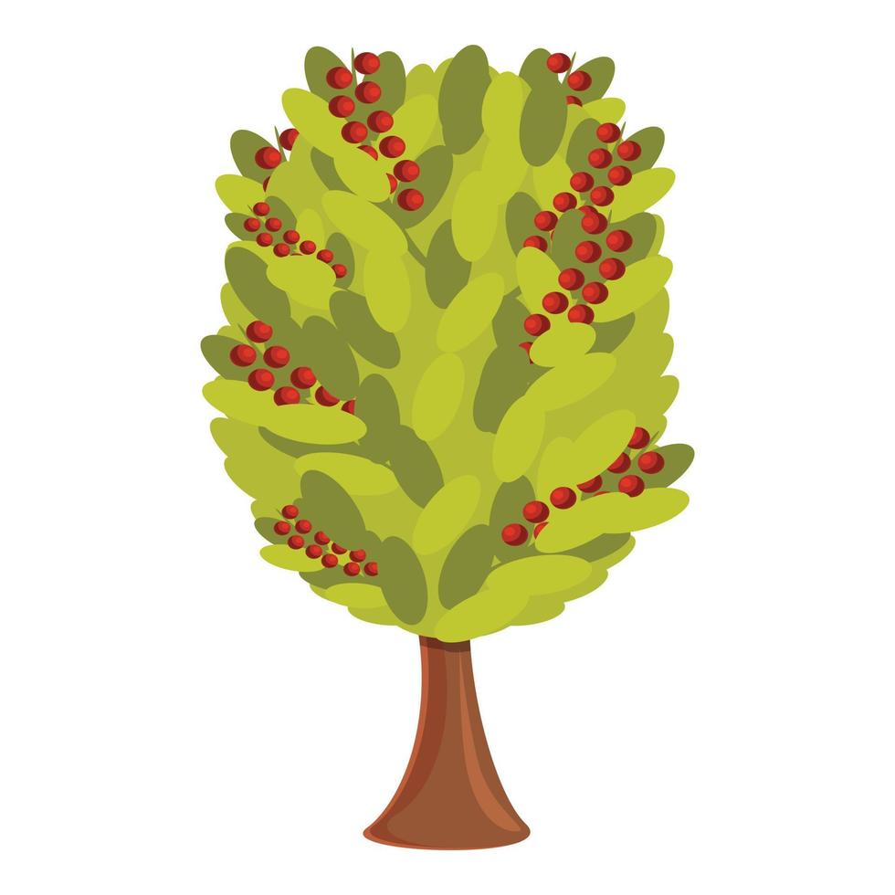 Coffee tree icon, cartoon style vector