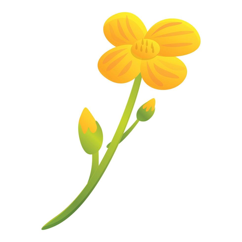 Canola yellow flower icon, cartoon style vector