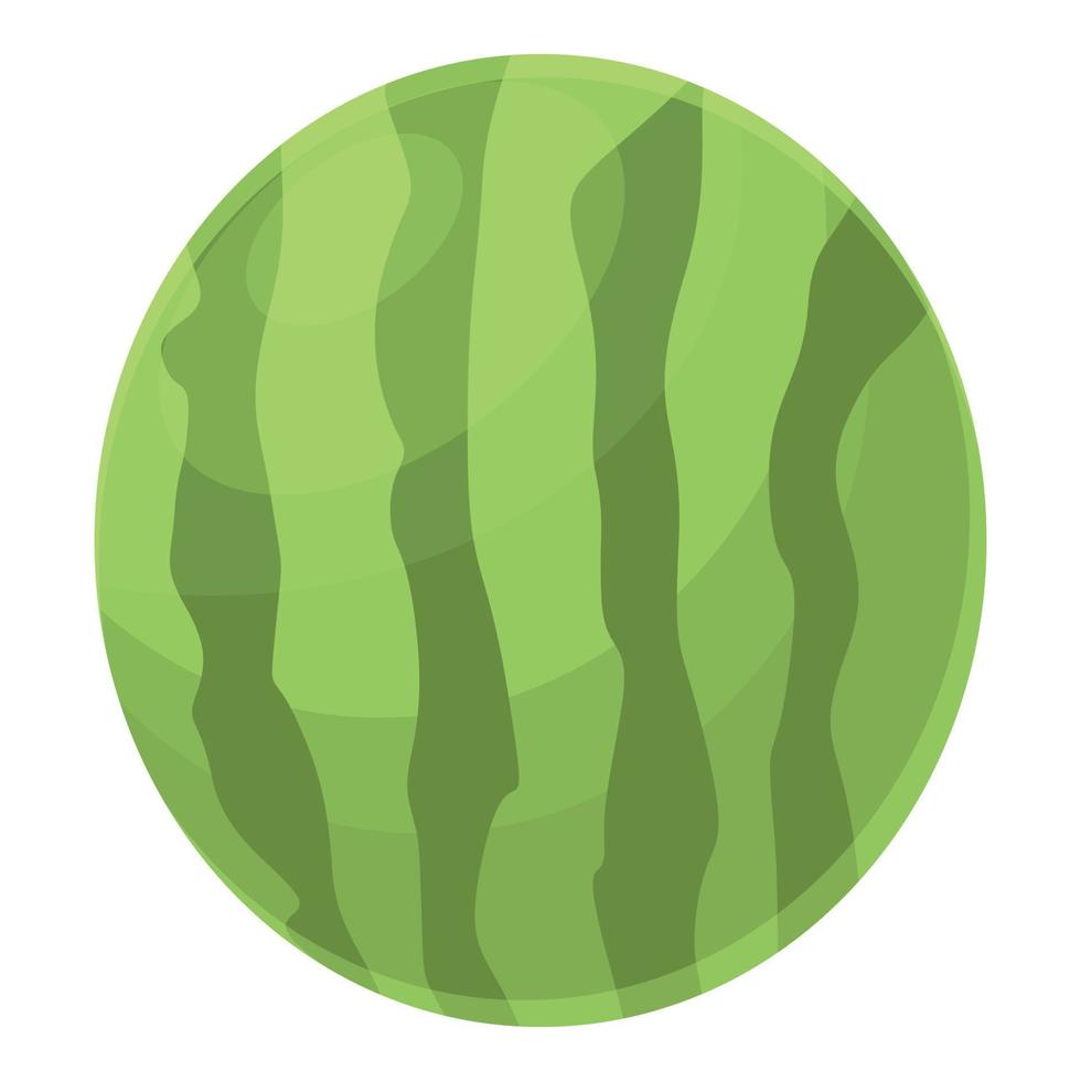 Watermelon icon cartoon vector. Water fruit vector