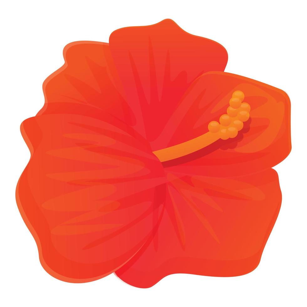 Garland hibiscus icon, cartoon style vector