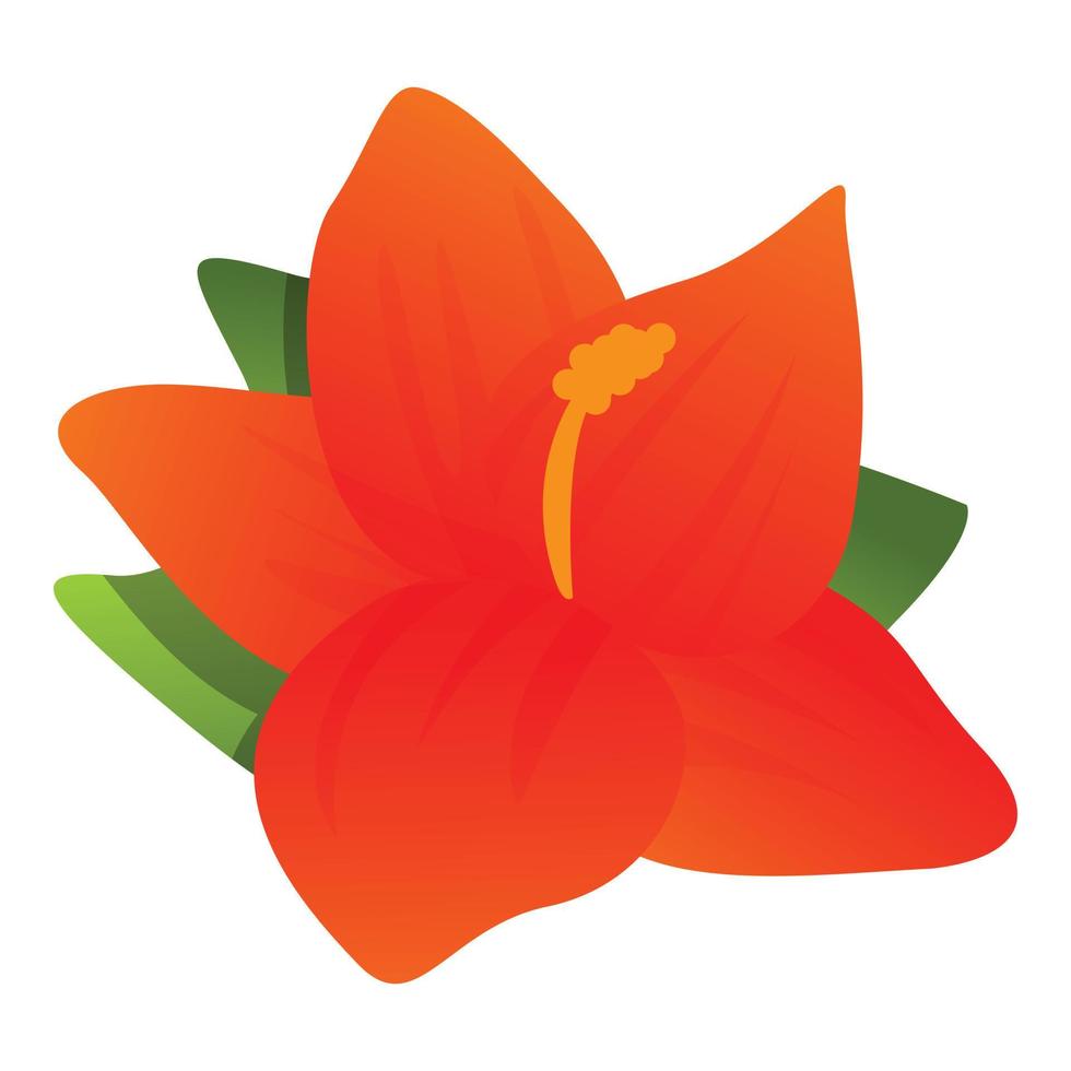 Hawaii hibiscus icon, cartoon style vector