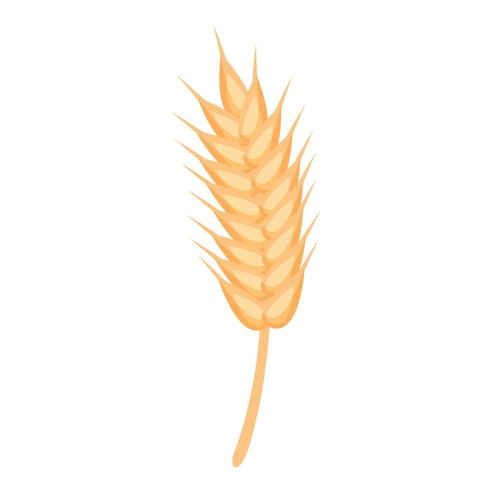 Wheat zn nutrition icon cartoon vector. Food vitamin vector