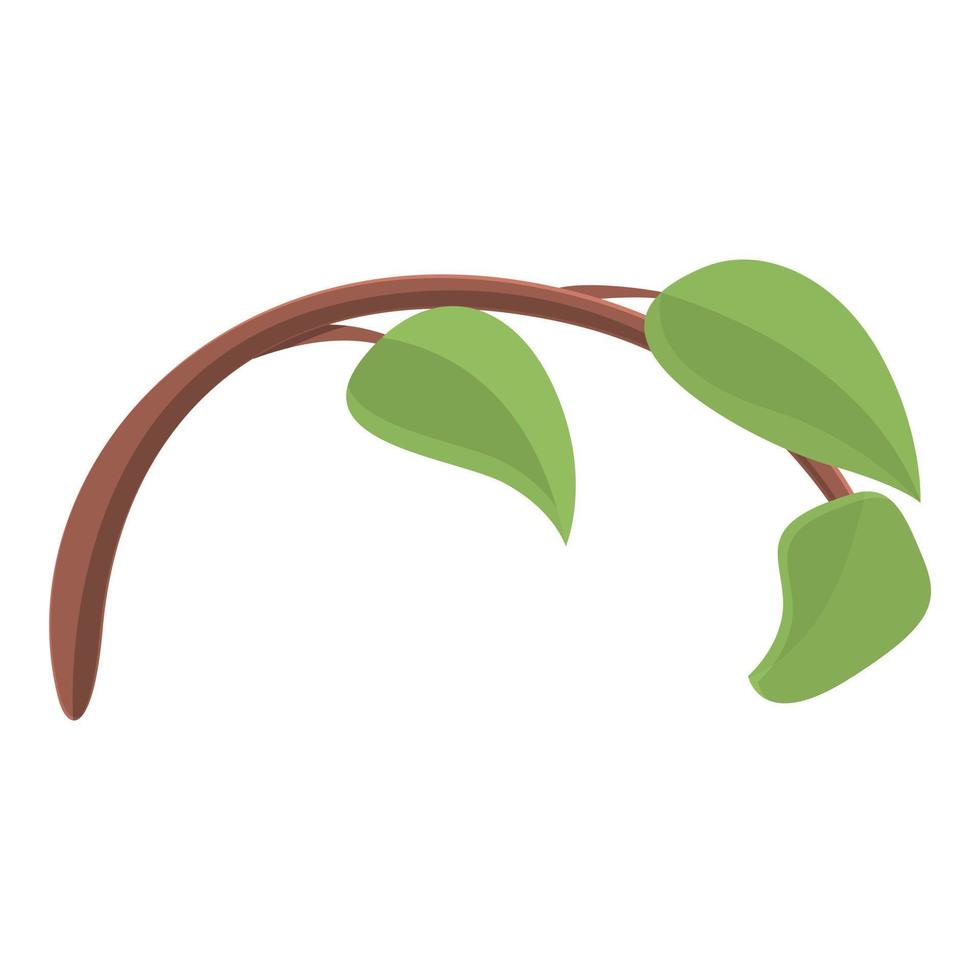 Branch leaf icon, cartoon style vector