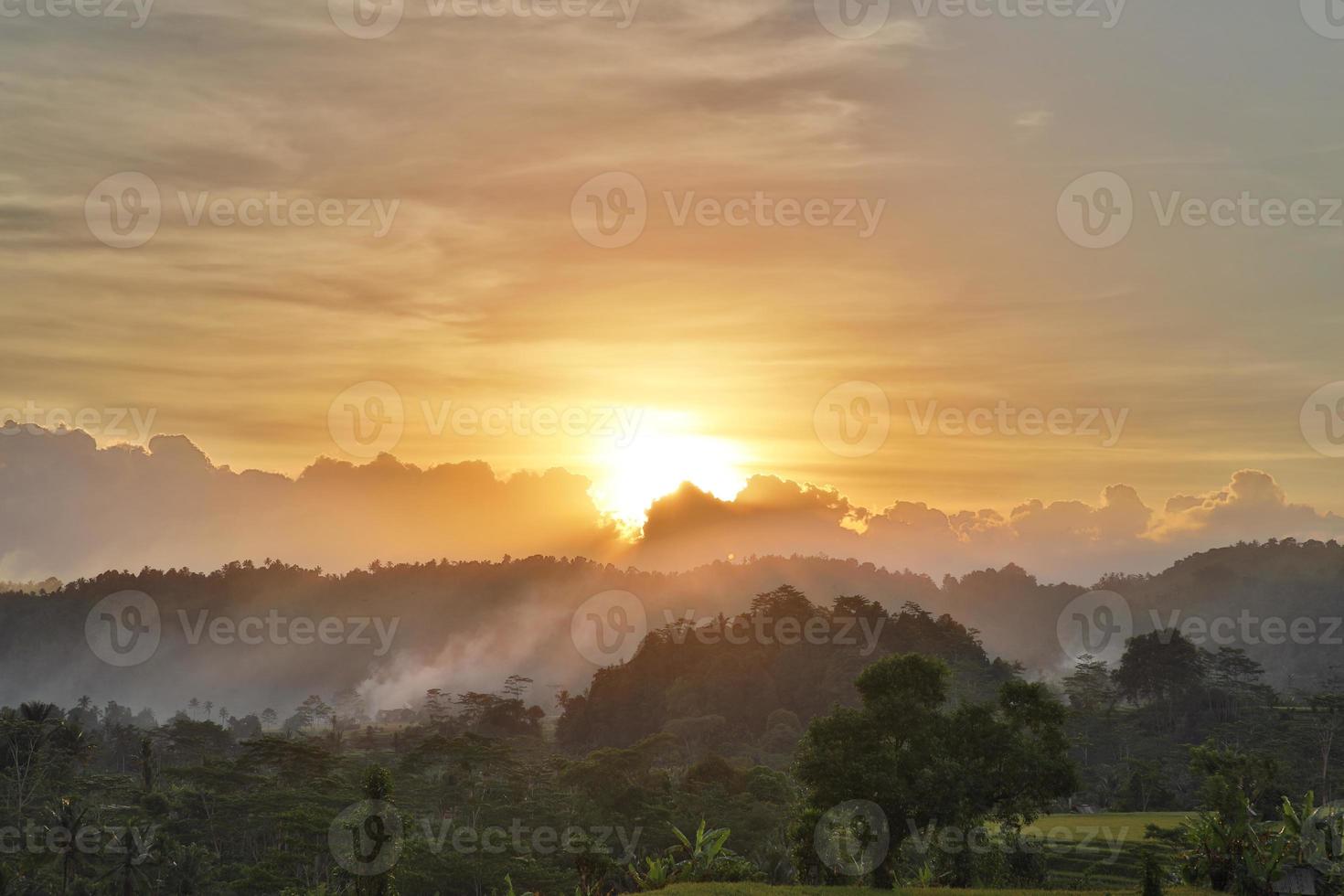 selva a la luz del atardecer en bali indonesia foto