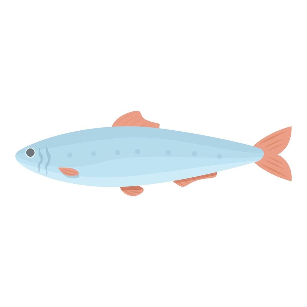 vector de dibujos animados de icono de sardina del Pacífico. pescados y mariscos