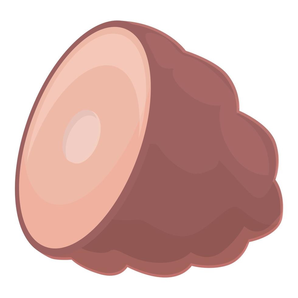 Smoked ham icon cartoon vector. Pork filet vector