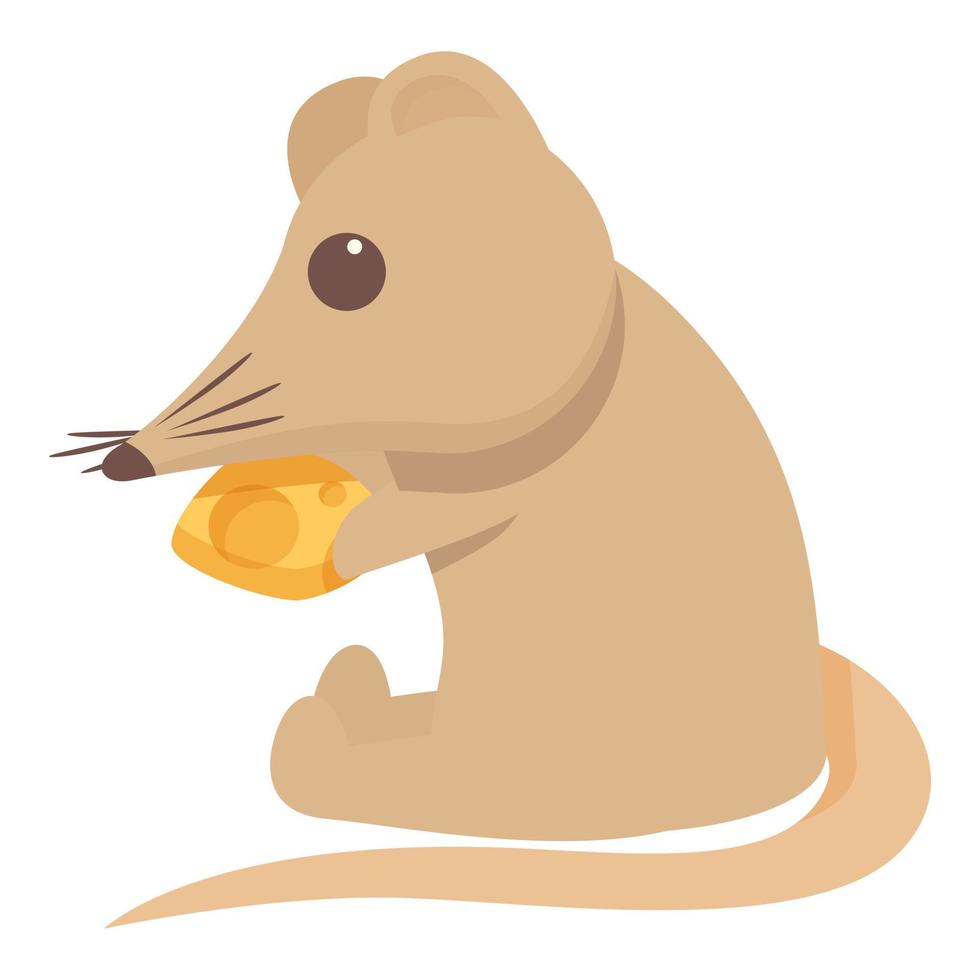 Shrew eat cheese icon cartoon vector. Domestic animal vector