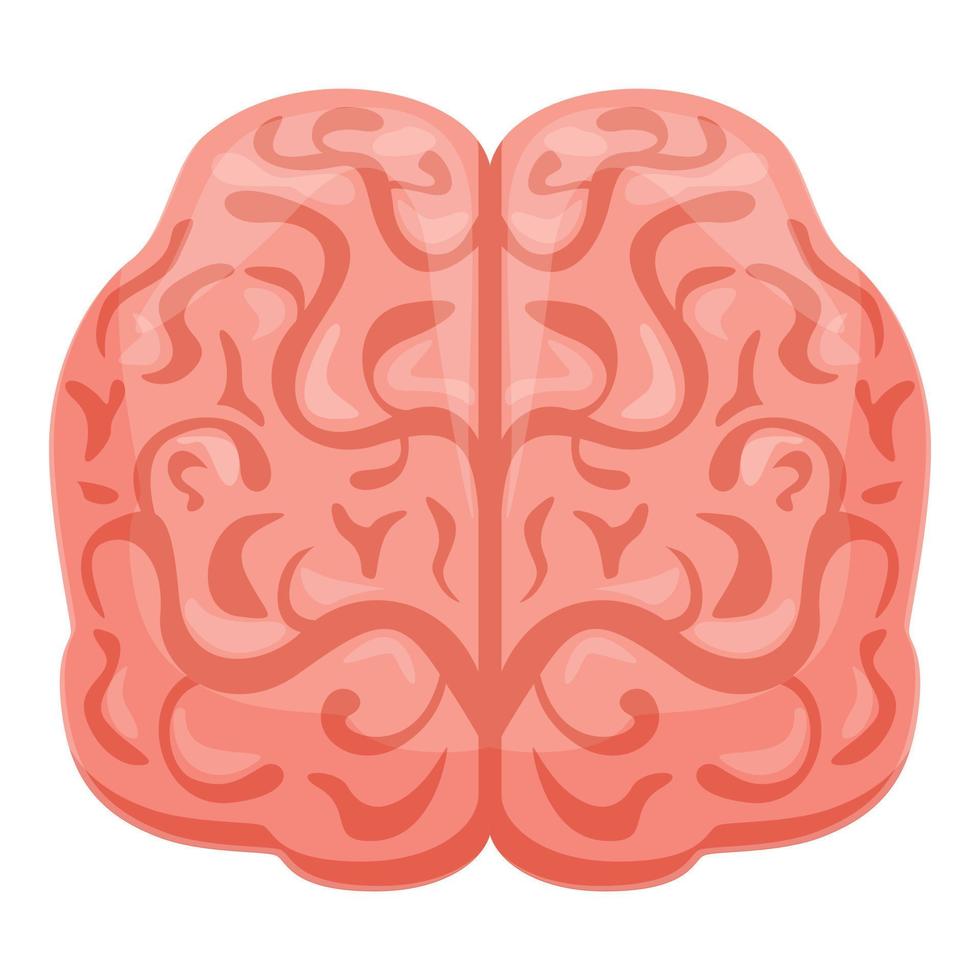 Human brain front icon, cartoon style vector
