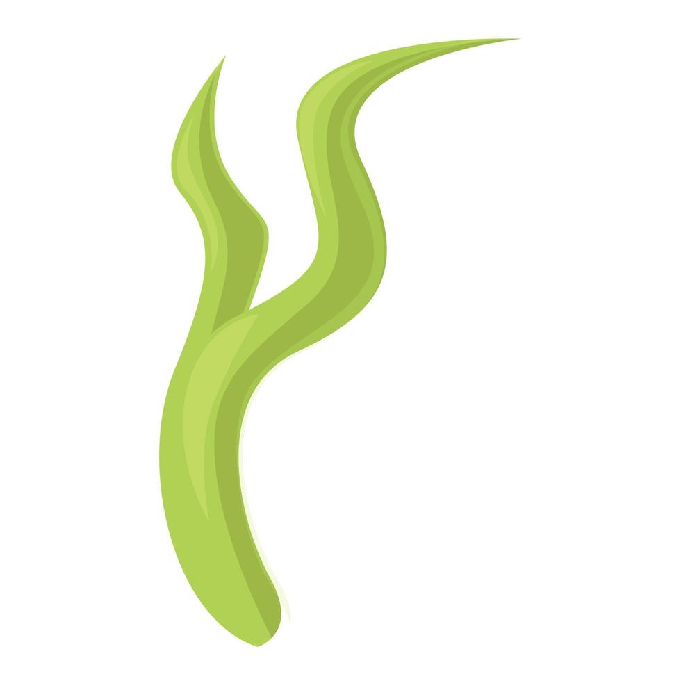 Spirulina plant icon cartoon vector. Powder alga vector