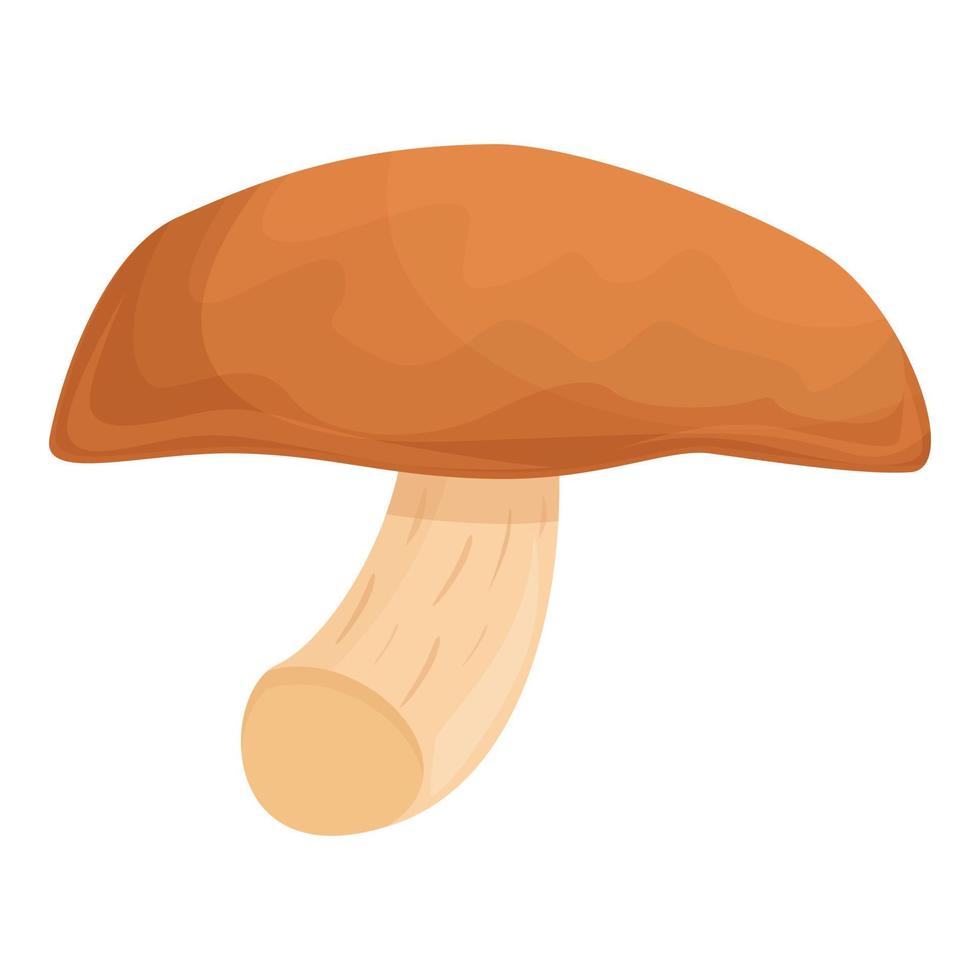 vector de dibujos animados de icono de shiitake de setas. comida shitake