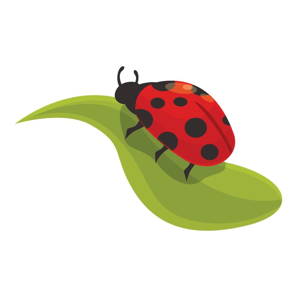 Plant ladybird icon cartoon vector. Garden ladybug vector