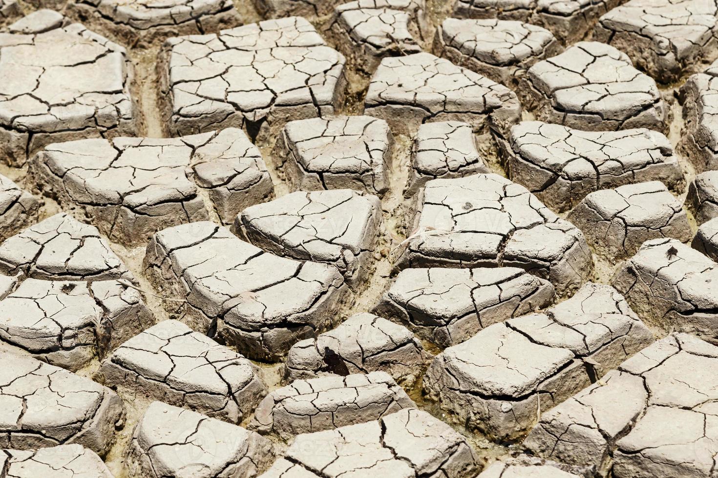 Dry lake bed. Drought ground with cracks. photo